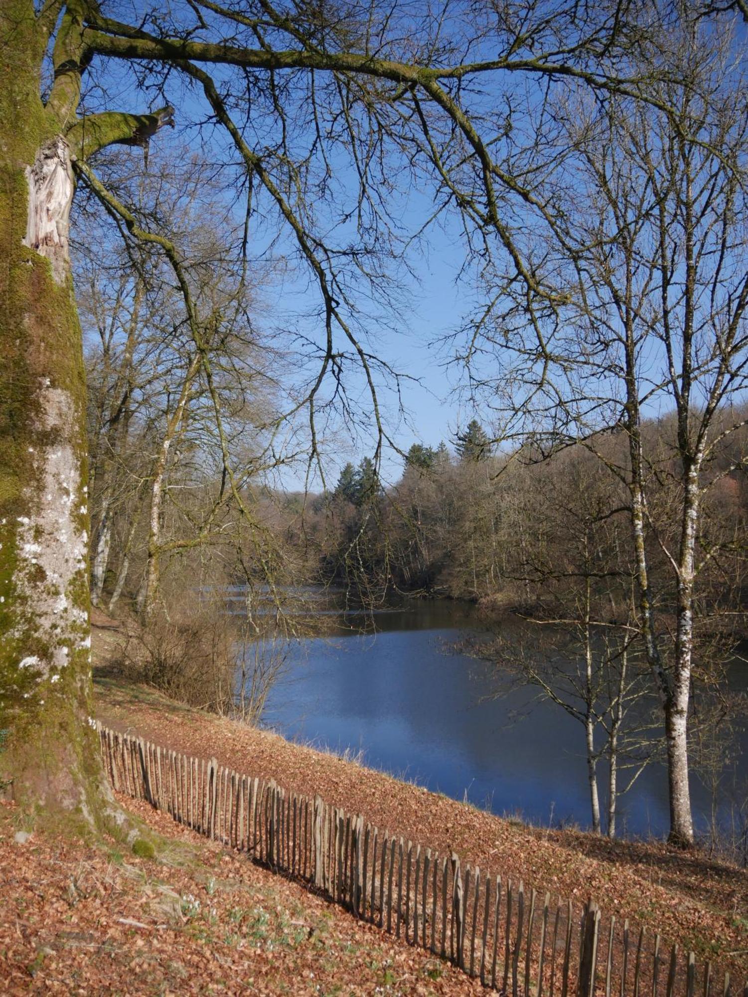 Chateau Du Pont D'Oye Habay-la-Neuve Eksteriør bilde